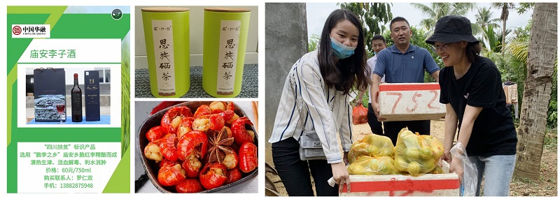 い瓣地磕?┹措??笆???? ??н????? ??や?秆??玻?孩?芥螟拜?