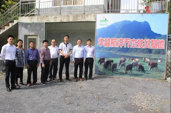 ?地磕н???﹁だそ??辅龟本?服驹ヴ叭 ?伐??叉?ю绊