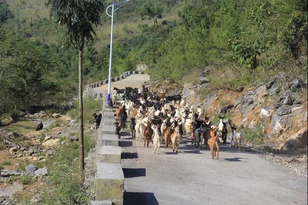 ?地磕н???﹁だそ??辅龟本?服驹ヴ叭 ?伐??叉?ю绊