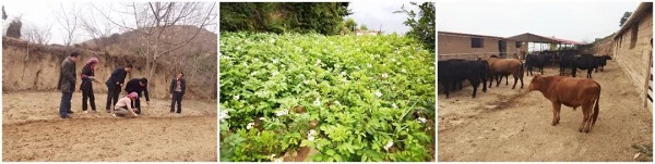 ?地磕н??ヌ德だそ?? 薄?旅跋踞ㄏ? 弘非腊н?叉?