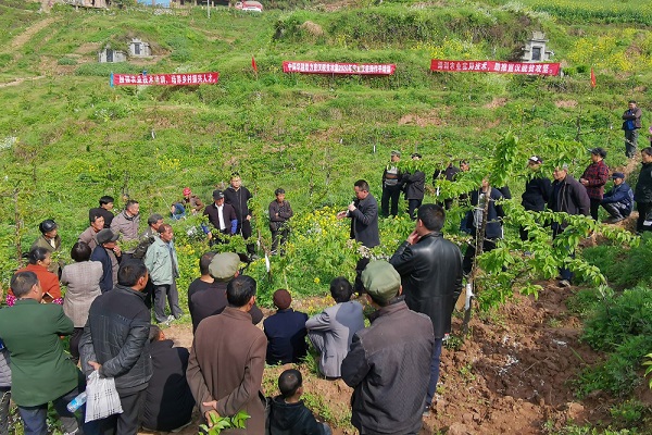 ??ó往? ?笆?カ初??い瓣地磕??腊н帝????砍ボ????