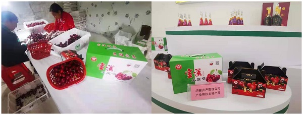 ??ó往? ?笆?カ初??い瓣地磕??腊н帝????砍ボ????