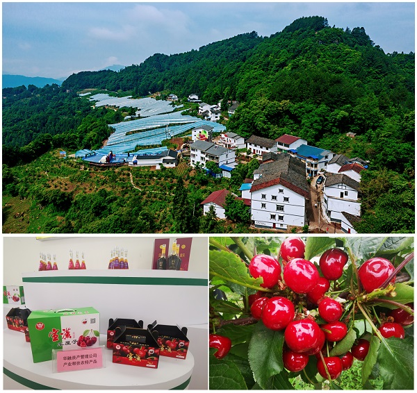 ?て家Α承? ??腊н?莱??い瓣地磕???磕腊н?????砍???陪Θ?