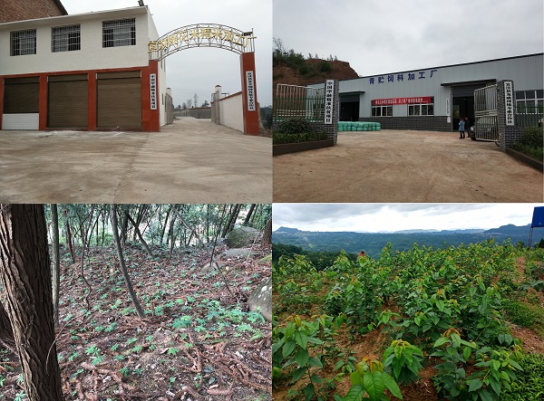 い瓣地磕?伐?︽???ヴ ??叉?ю绊ㄆ???