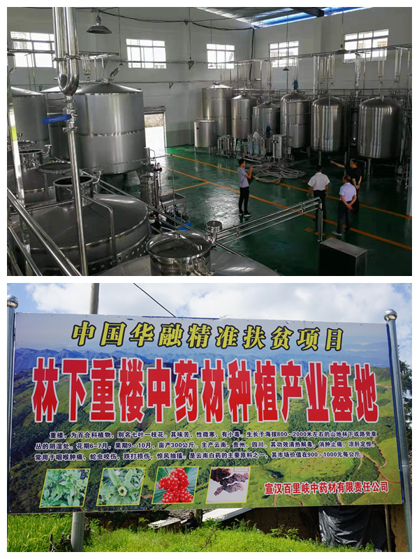 い瓣地磕2019????н??????伐Θ?