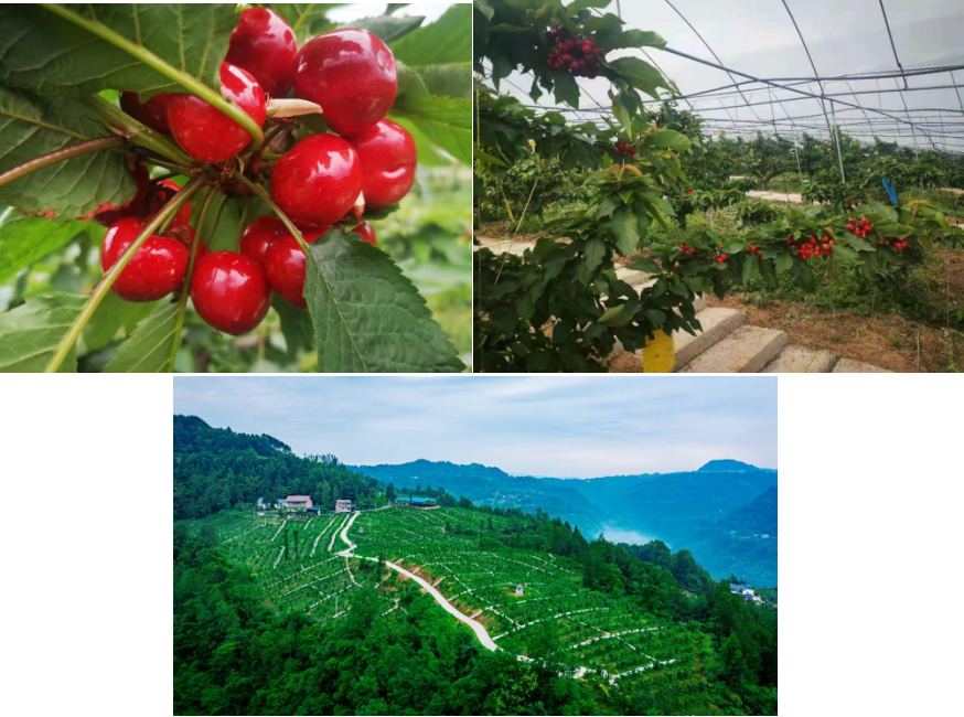 い瓣地磕??腊н???更 承?ゴ?¨舱??〃 ǐ??磕腊н?︹ぇ隔